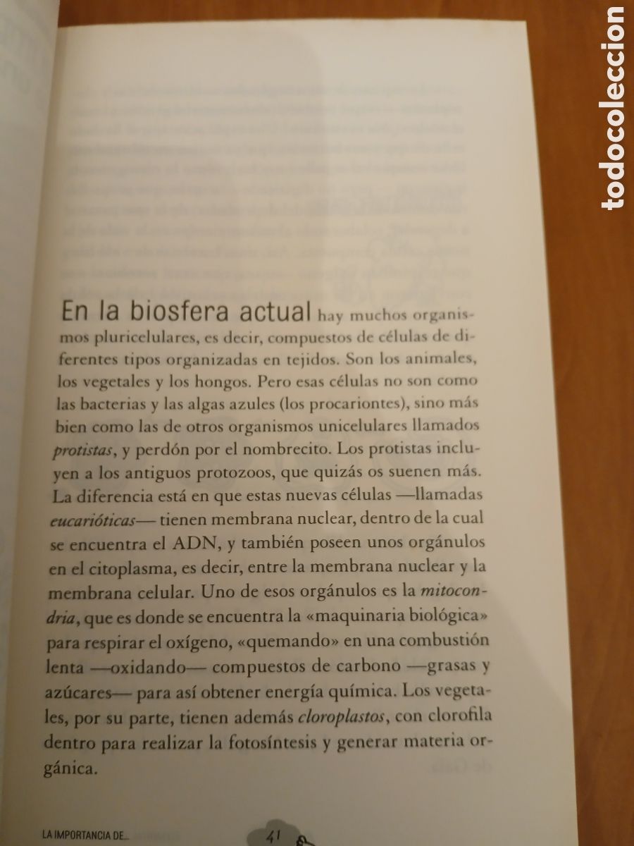 Libros de segunda mano: Elemental queridos humanos. Juan Luis Arsuaga, Forges. - Foto 7