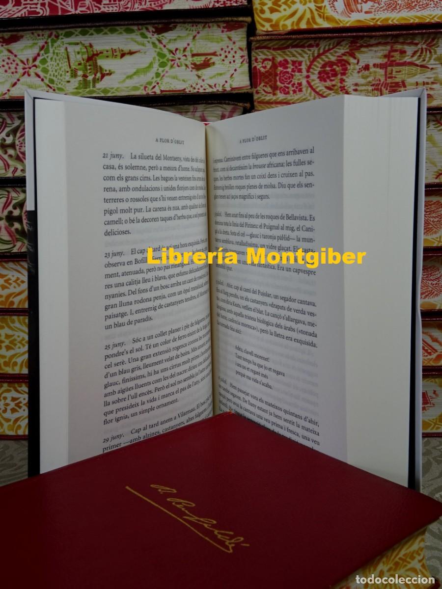 Libros de segunda mano: DIETARIS . Autor : Manent, Mari&agrave; - Foto 10