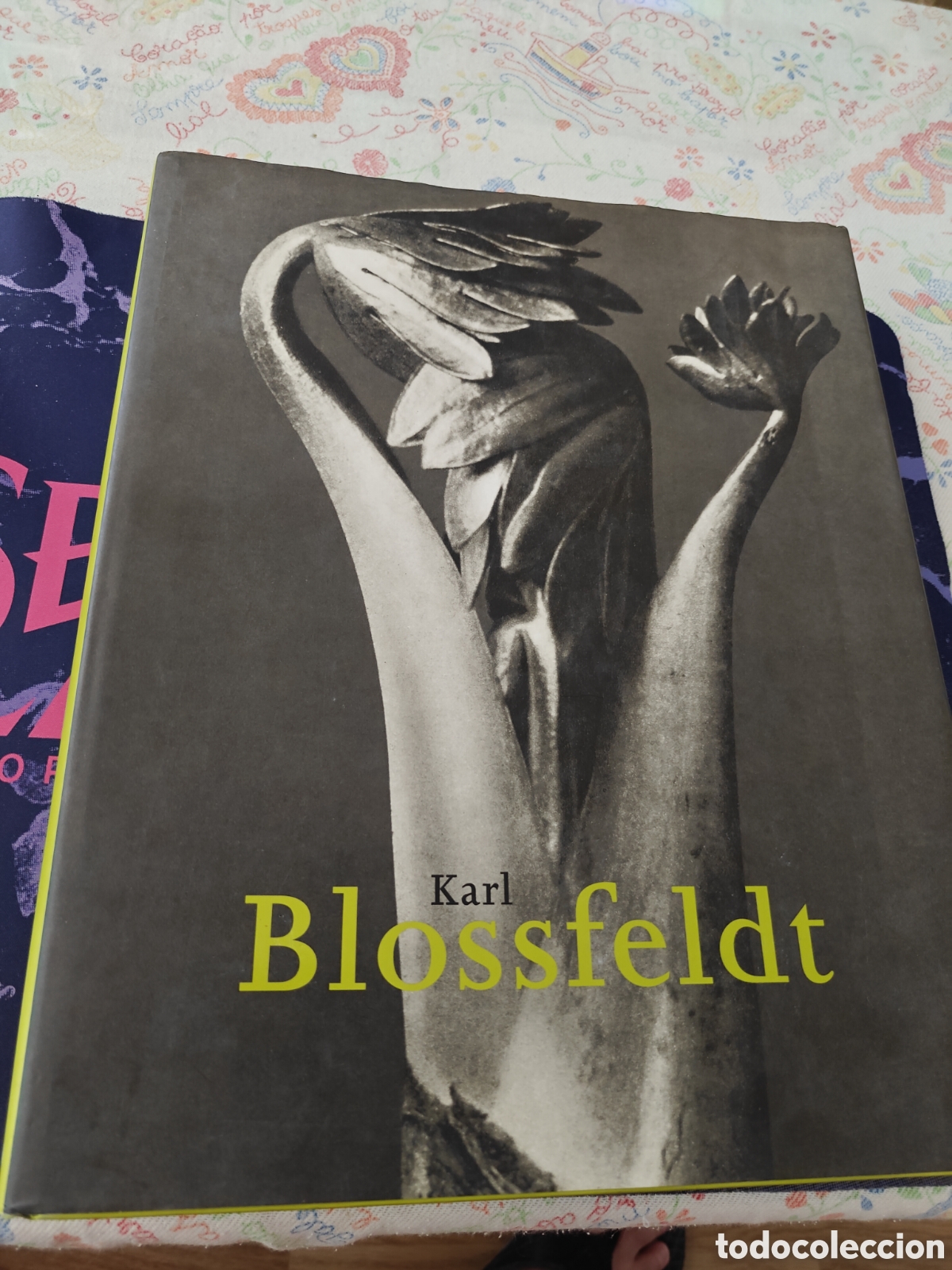 Libros de segunda mano: LIBRO DE FOTOGRAF&Iacute;A KARL BLOSSFELDT. TASCHEN. 1999