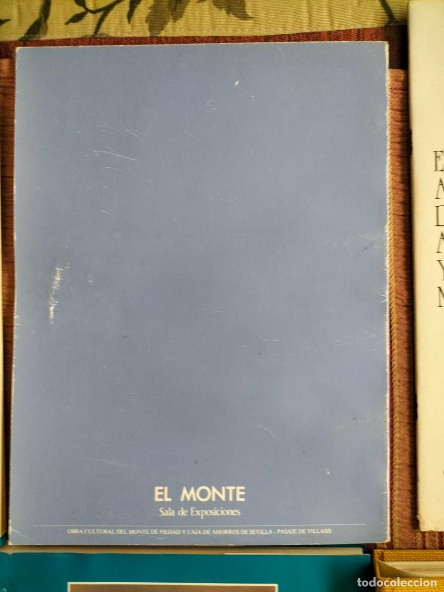 Libros de segunda mano: (LIBROS) LOTE DE LIBROS ARTE, HISTORIA YFIESTAS. - Foto 9