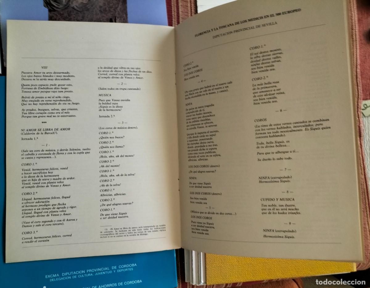 Libros de segunda mano: (LIBROS) LOTE DE LIBROS ARTE, HISTORIA YFIESTAS. - Foto 15