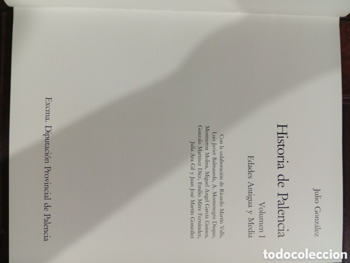 Libros de segunda mano: Historia de Palencia vol. 1 y 2 - Foto 5