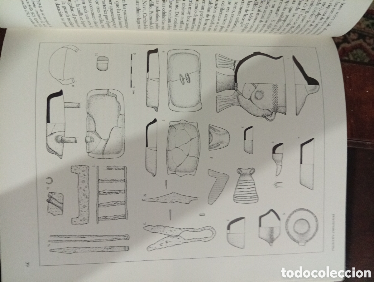 Libros de segunda mano: Historia de Palencia vol. 1 y 2 - Foto 7