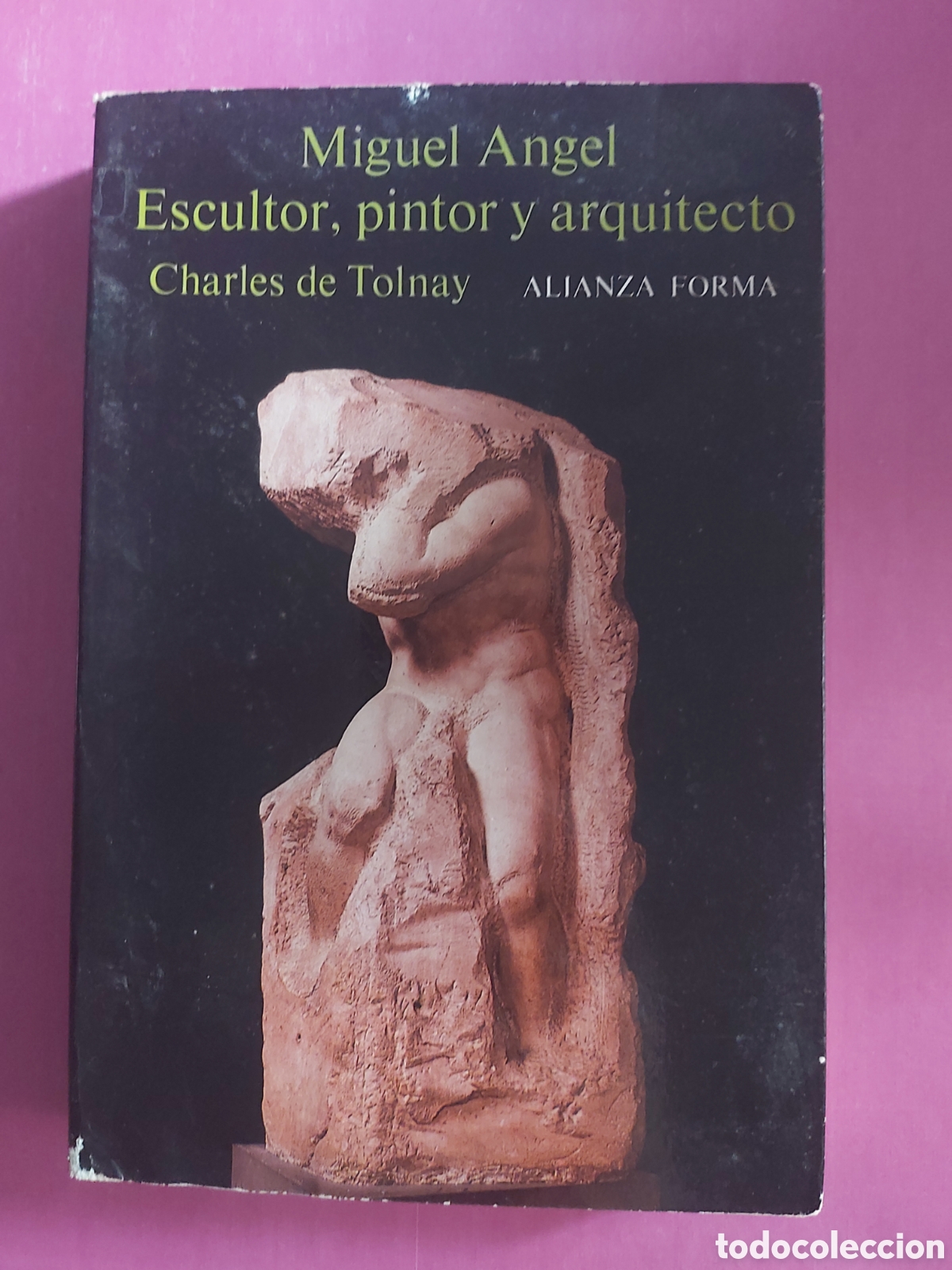 Libros de segunda mano: MIGUEL ANGEL ESCULTOR PINTOR Y ARQUITECTO CHARLES DE TOLNAY ALIANZA FORMA 1985