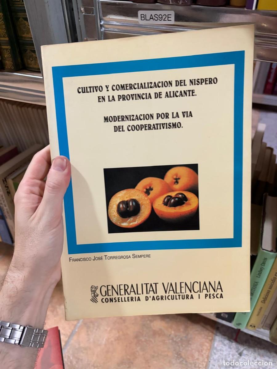 Libros de segunda mano: BLAS92E Cultivo y comercializaci&oacute;n del n&iacute;spero en la provincia de Alicante F Jos&eacute; Torregrosa Sempere