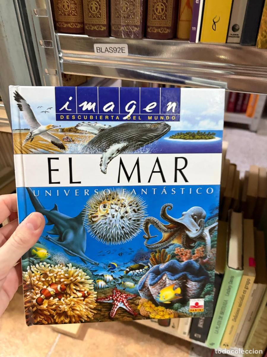 Libros de segunda mano: BLAS92E El mar. Universo fant&aacute;stico &ndash; Imagen Descubierta del Mundo &ndash; Editorial: Panini.