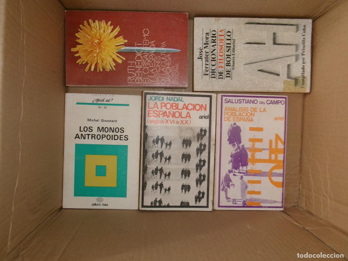 Libros de segunda mano: Lote de libros de Ciencias Sociales