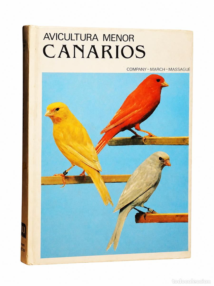 Libros de segunda mano: Company, March y Massagu&eacute; &ndash; Avicultura menor: Canarios LM