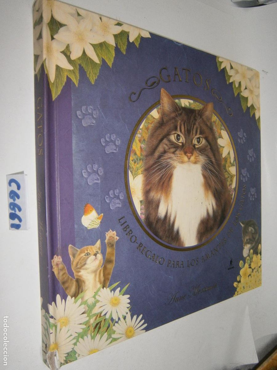 Libros de segunda mano: GATOS - ANNE MORTIMER - Foto 1