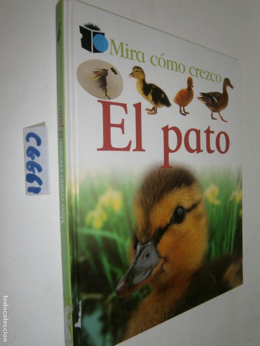 Libros de segunda mano: MIRA COMO CREZCO - EL PATO