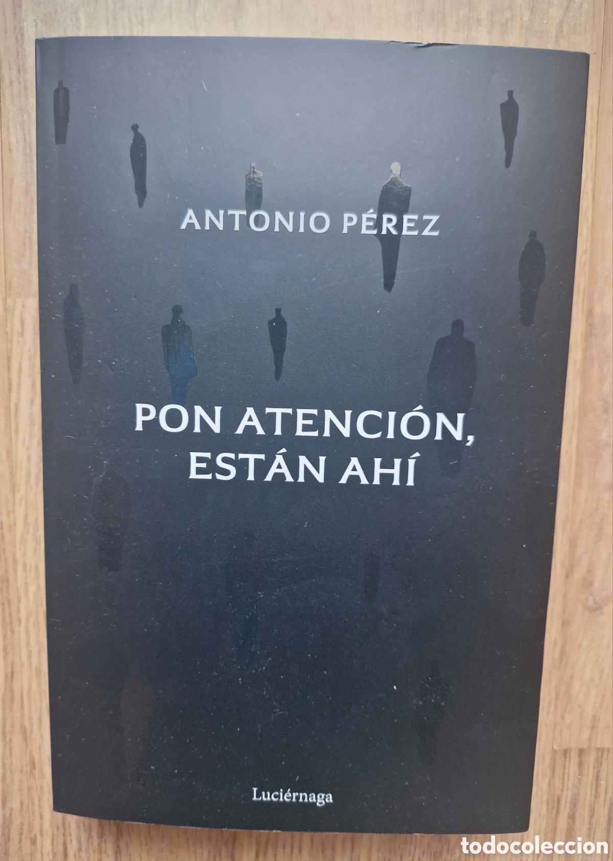Libros de segunda mano: PON ATENCI&Oacute;N, EST&Aacute;N AH&Iacute; - Antonio P&eacute;rez - Foto 1