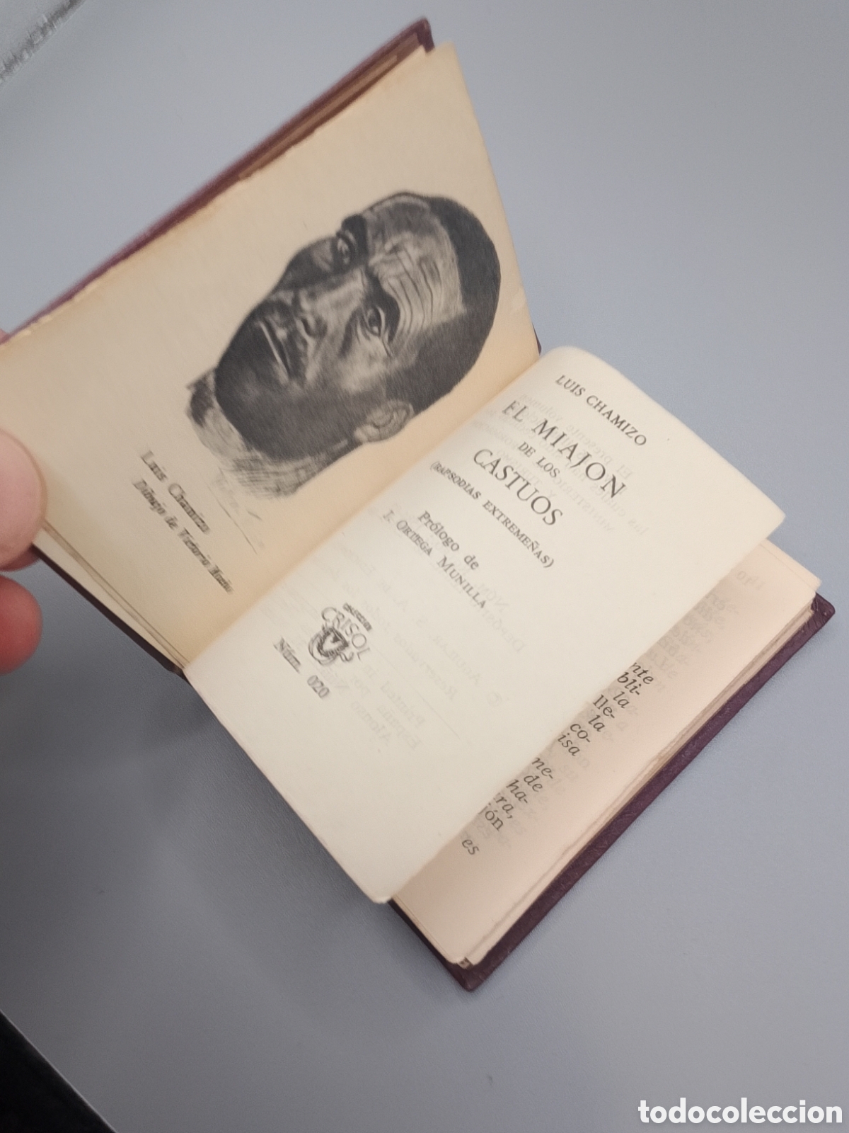 Libros de segunda mano: El miaj&oacute;n de los cast&uacute;os - Luis Chamizo. Crisol&iacute;n. Aguilar - Foto 4
