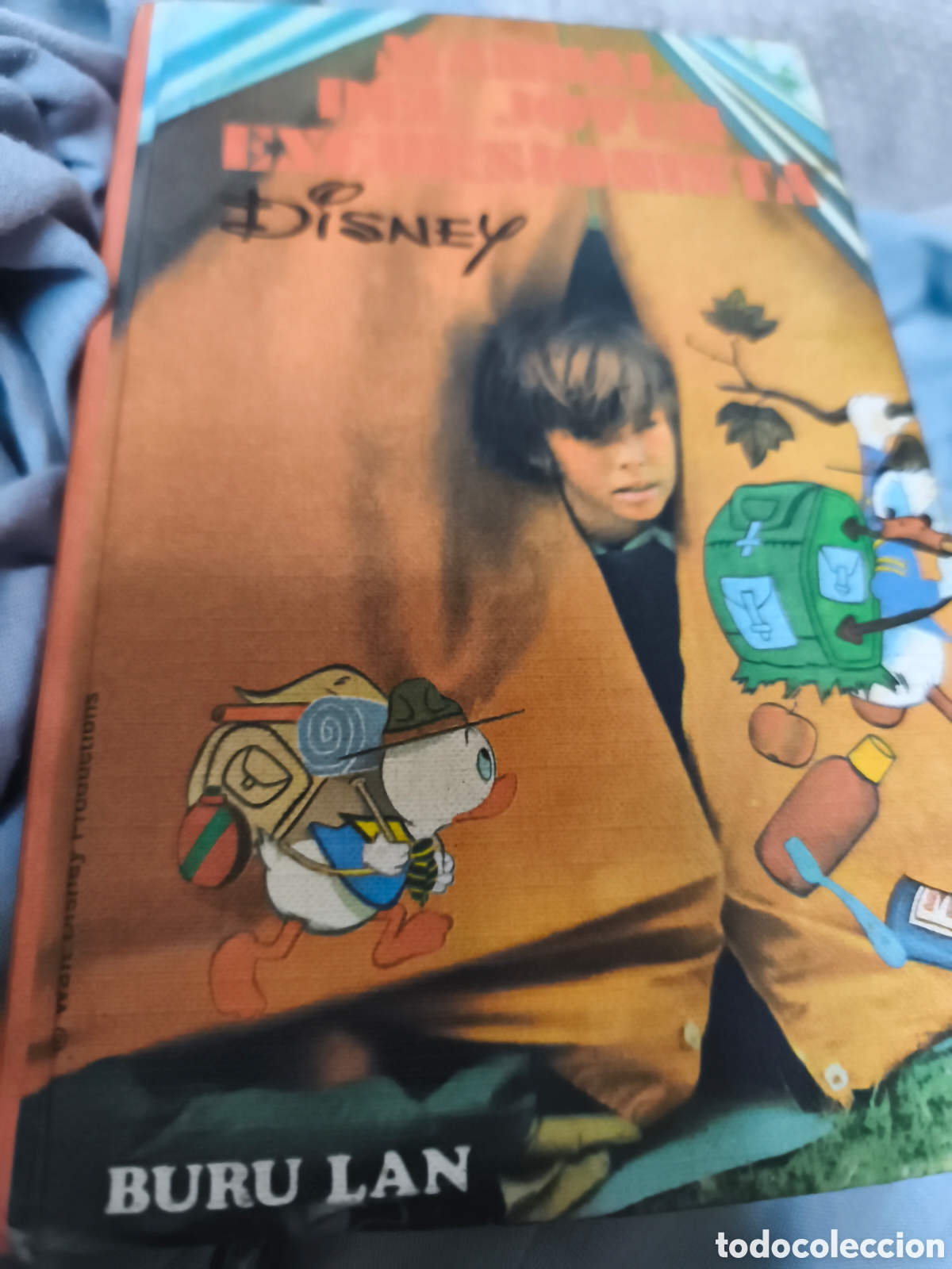 Libros de segunda mano: del joven excursionista Buru Lan Disney