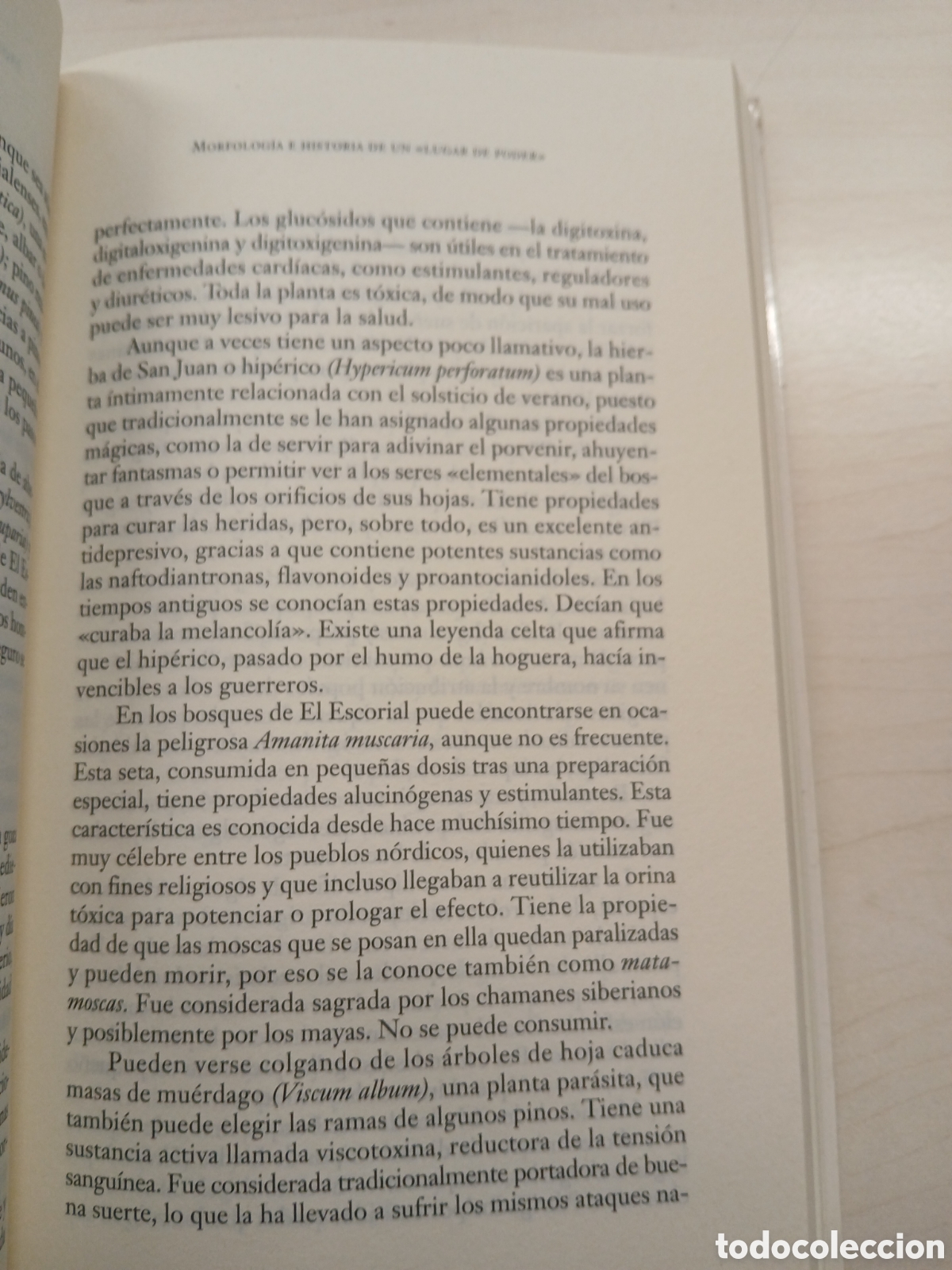 Libros de segunda mano: La boca del Infierno. Juan Ignacio Cuesta Mill&aacute;n. - Foto 9