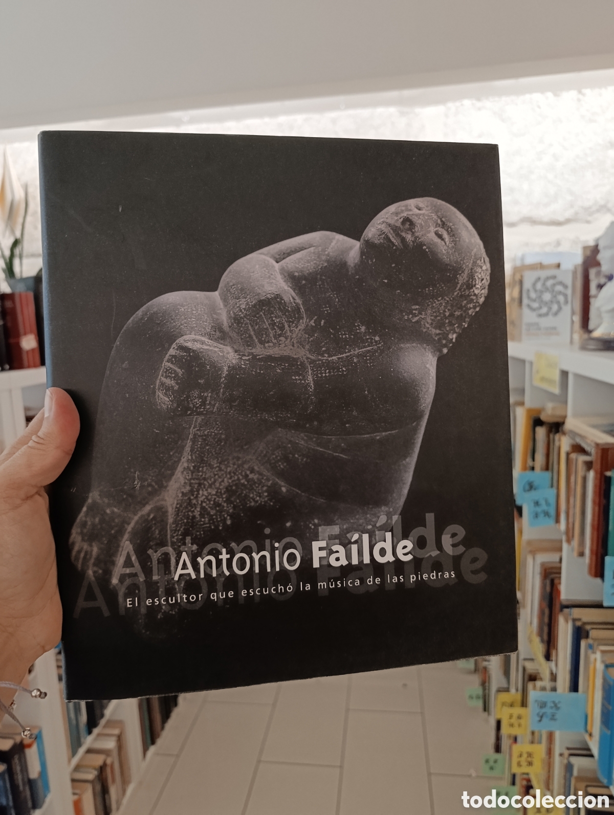 Gebrauchte B&uuml;cher: ANTONIO FAILDE. EL ESCULTOR QUE ESCUCHO LA MUSICA DE LAS PIEDRAS