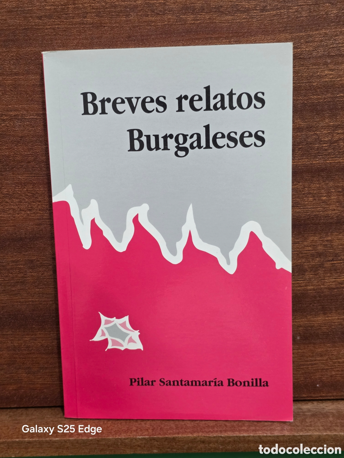 Libros de segunda mano: &rdquo;&rdquo;BREVES RELATOS BURGALESES&rdquo;&rdquo;...PILAR SANTAMARIA BONILLA...BURGOS...1993...