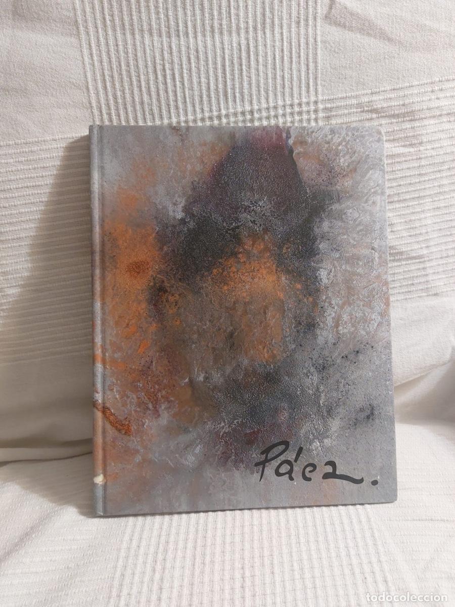 Libros de segunda mano: LIBRO MARIA ALONSO PAEZ - PINTURA