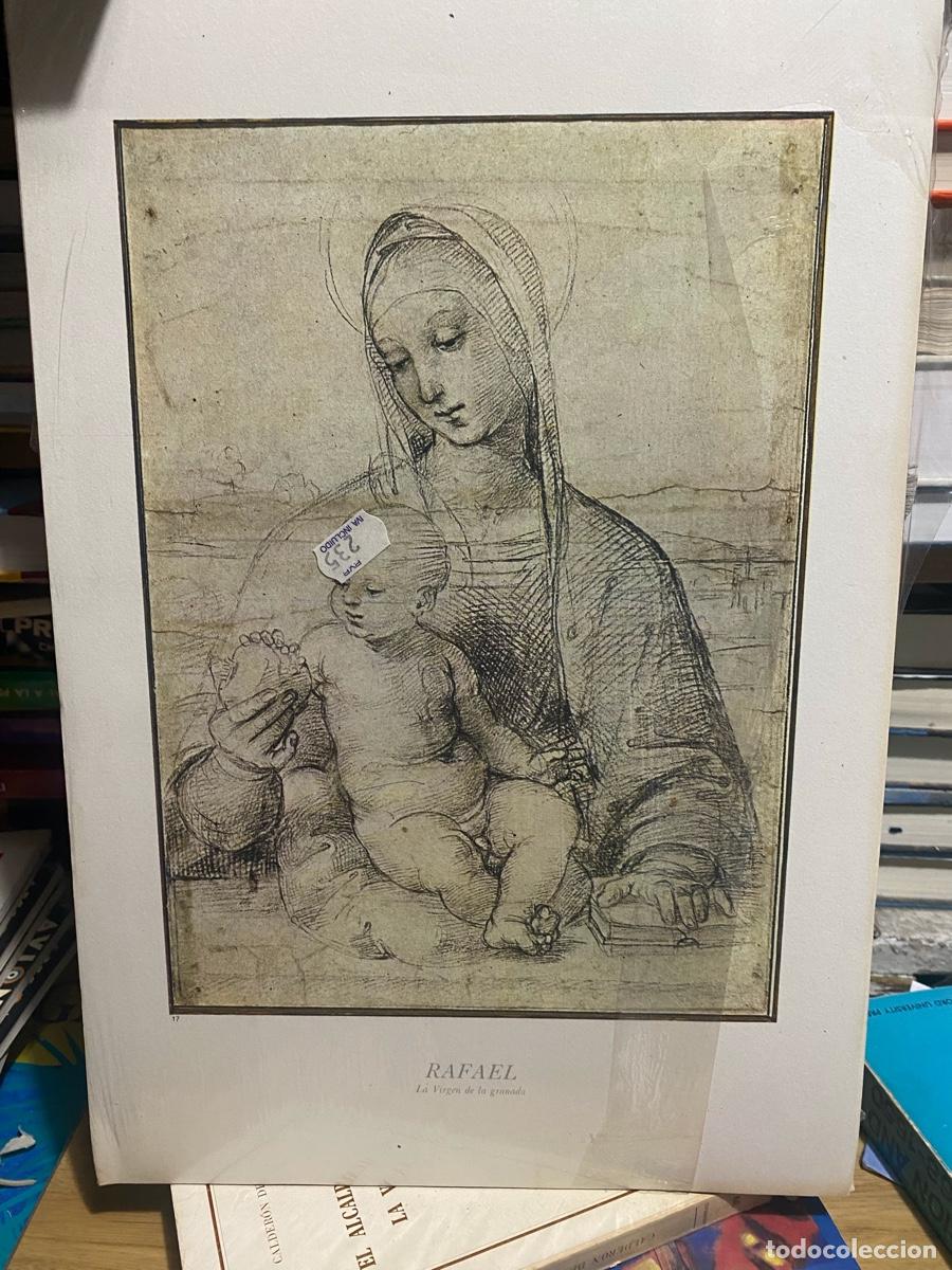 Libros de segunda mano: LAMINAS DE ARTE, RAFAEL, LA VIRGEN DE LA GRANADA