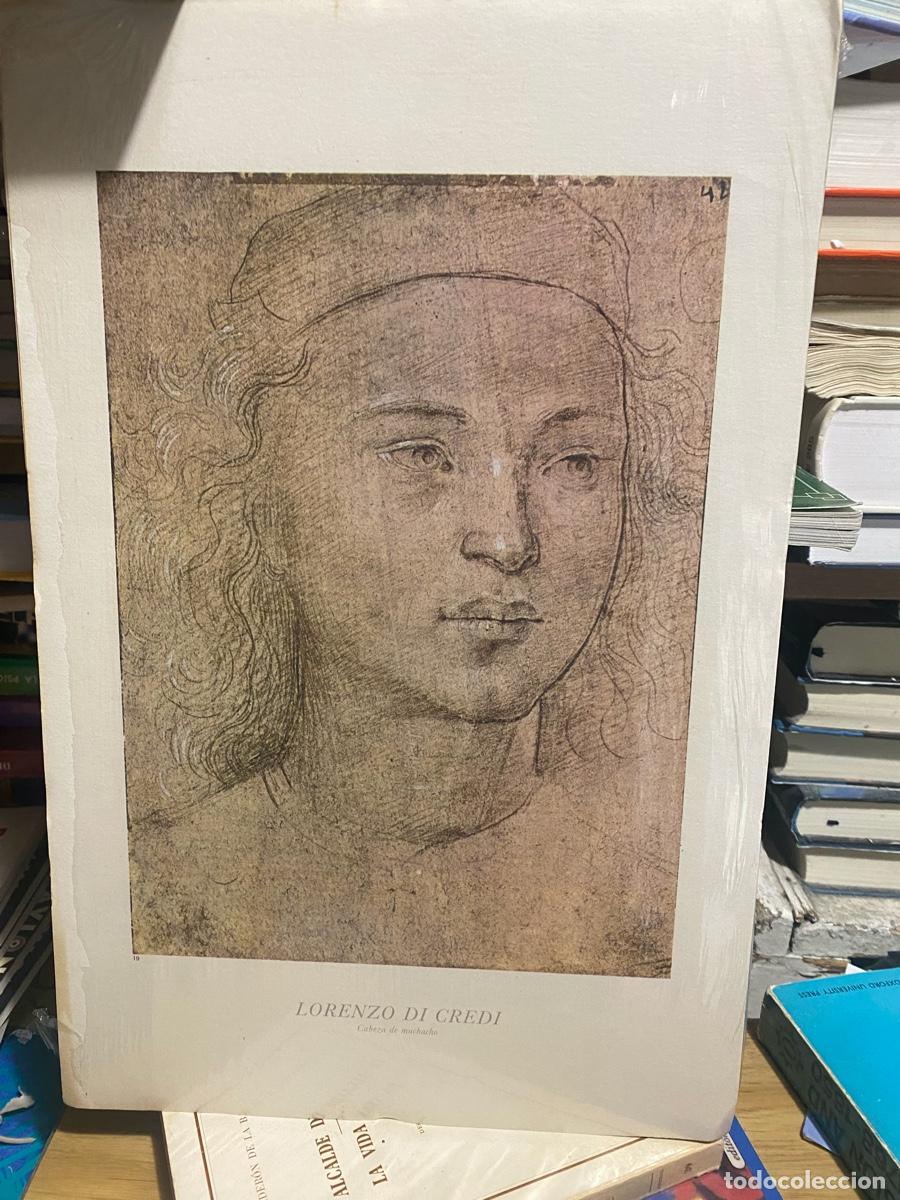 Libros de segunda mano: LAMINAS DE ARTE, LORENZO DI CREDI, CABEZA DE MUCHACHA