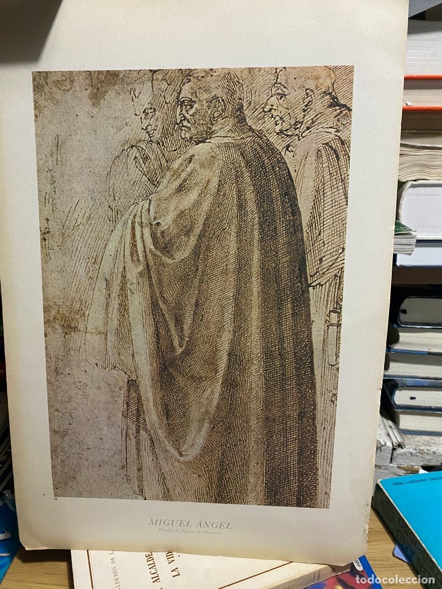 Libros de segunda mano: LAMINAS DE ARTE, MIGUEL ANGEL, ESTUDIO DE FIGURAS DE MASACCIO