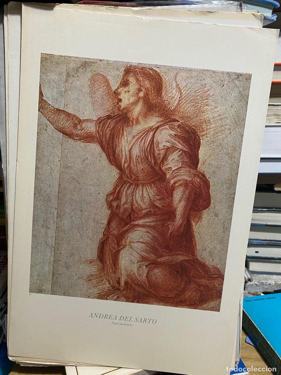 Libros de segunda mano: LAMINAS DE ARTE, ENDREA DEL SARTO, ANGEL ANUNCIADOR