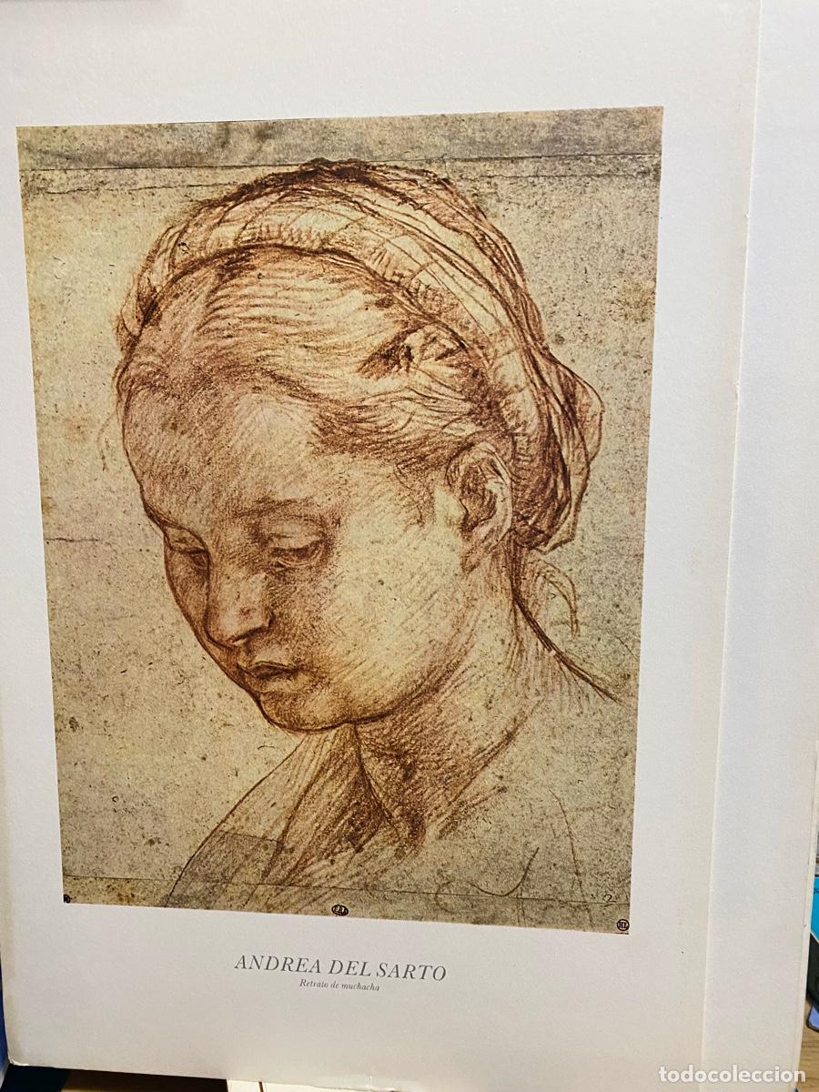 Libros de segunda mano: LAMINAS DE ARTE, ANDREA DEL SARTO