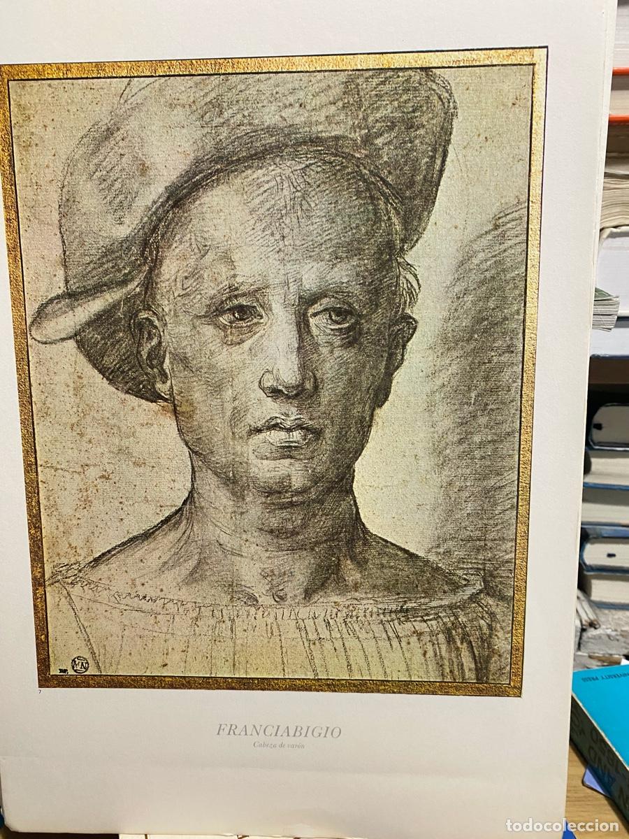 Libros de segunda mano: LAMINAS DE ARTE, FRANCIABIGIO