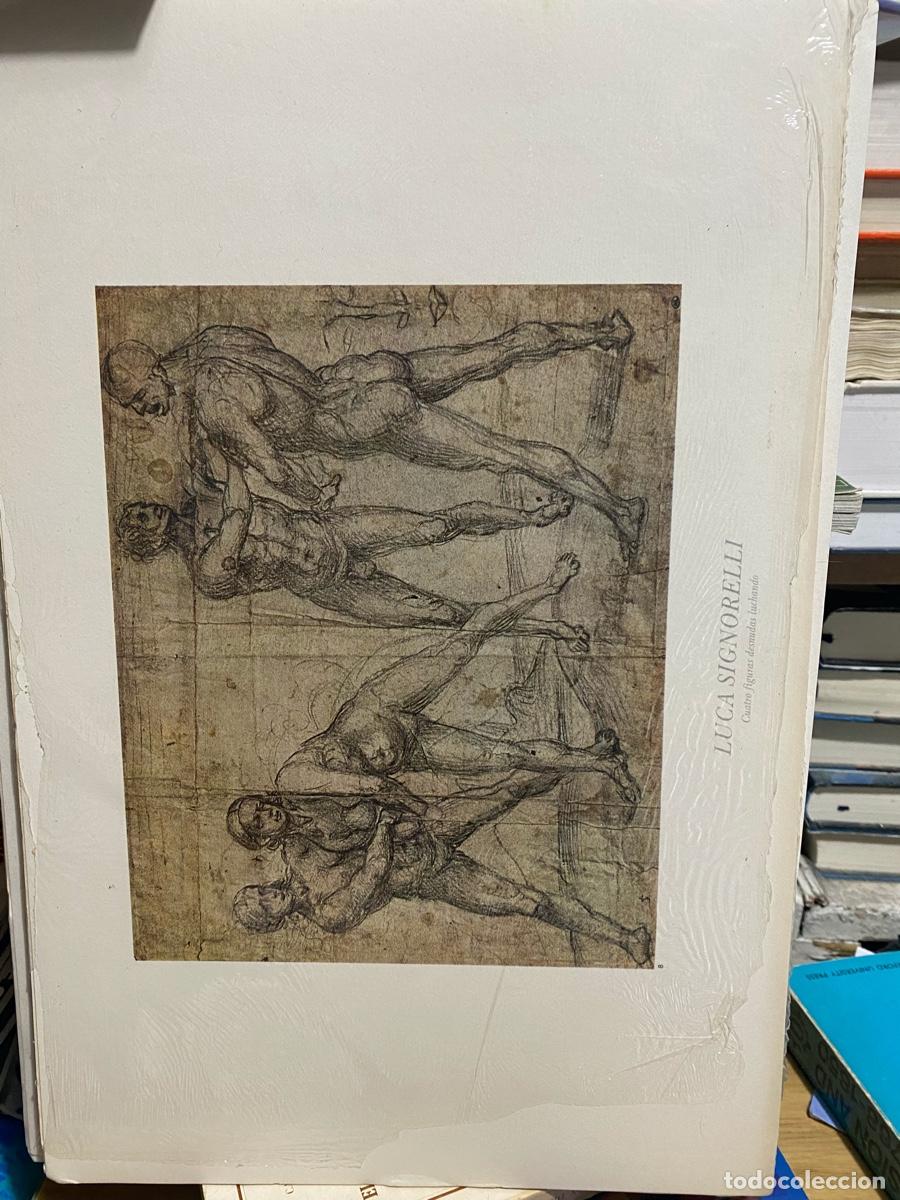 Libros de segunda mano: LAMINAS DE ARTE, LUCA SIGNORELLI