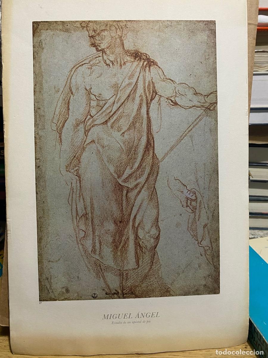 Libros de segunda mano: LAMINAS DE ARTE, MIGUEL ANGEL
