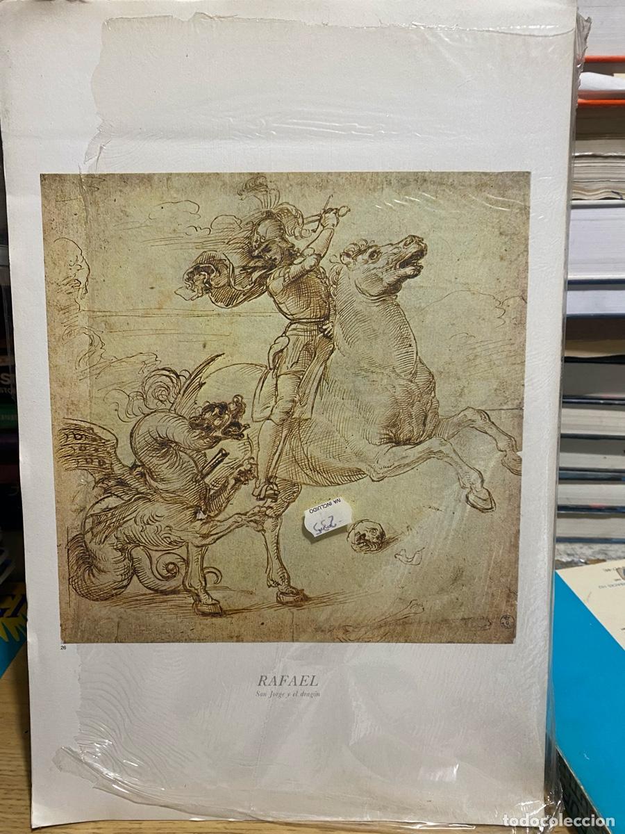 Libros de segunda mano: LAMINAS DE ARTE, RAFAEL