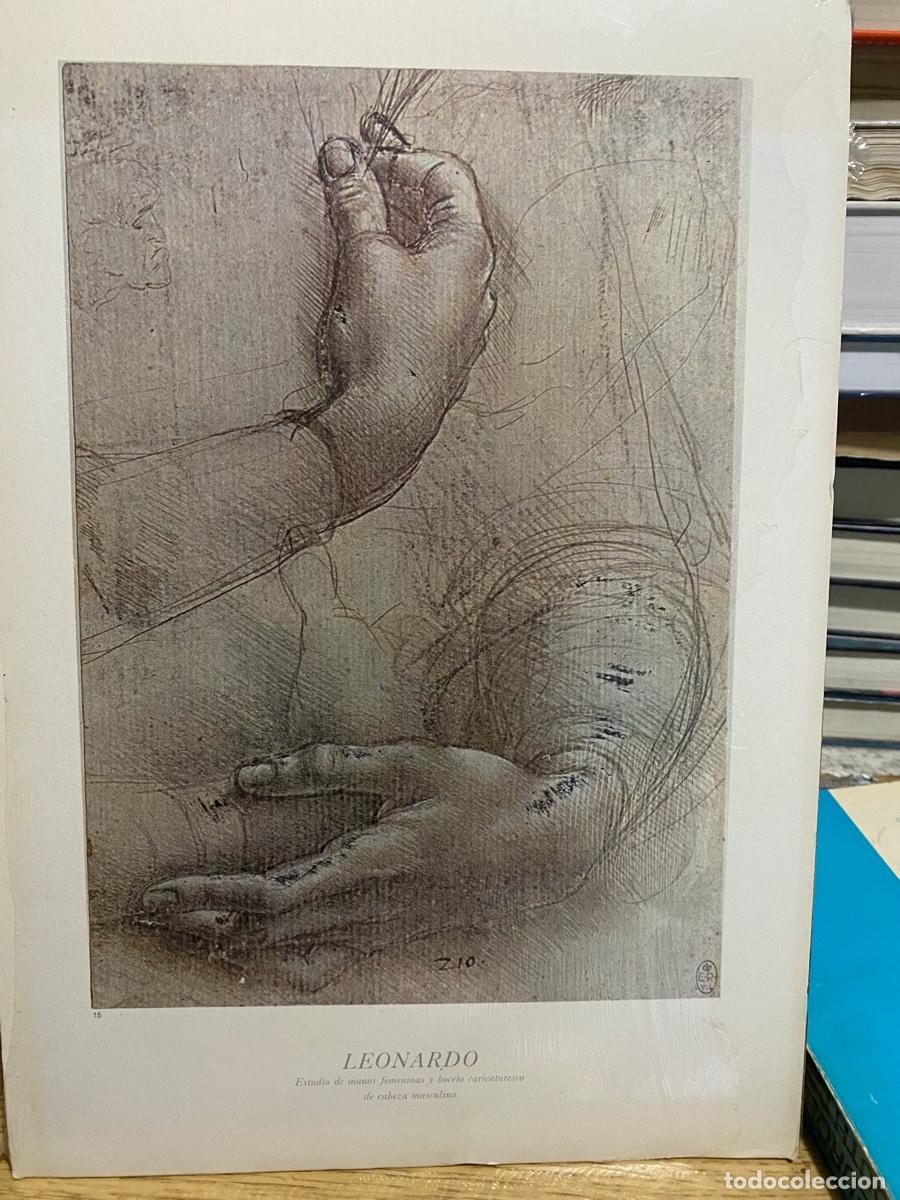 Libros de segunda mano: LAMINA DE ARTE, LEONARDO