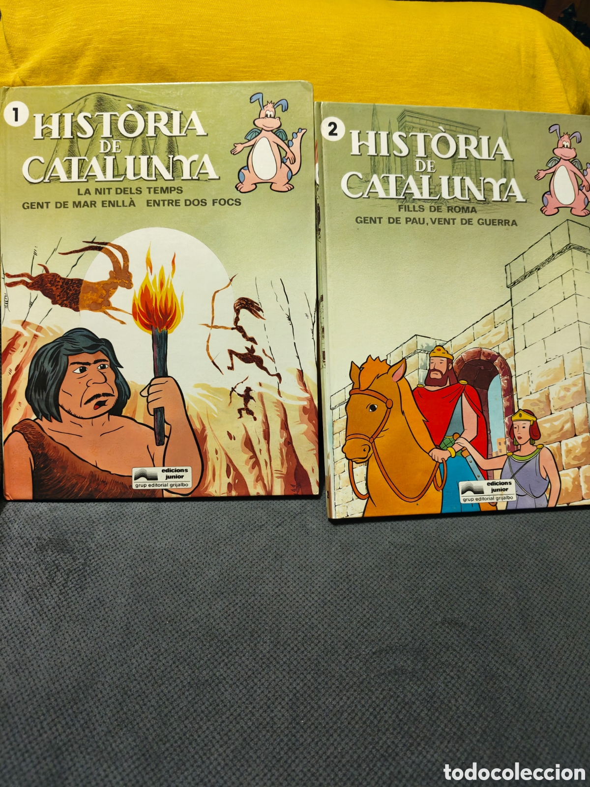 Libros de segunda mano: Historia de Catalunya, Tomo 1 y 2