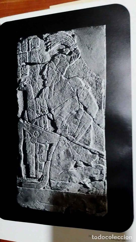 Libros de segunda mano: Palenque Esplendor del Arte Maya - Foto 9