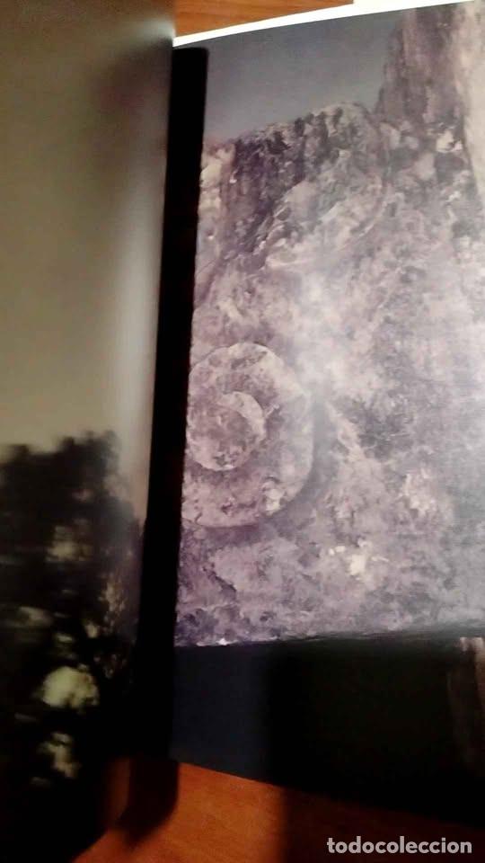 Libros de segunda mano: Chich&eacute;n Itza en la Historia y en el Arte - Foto 10