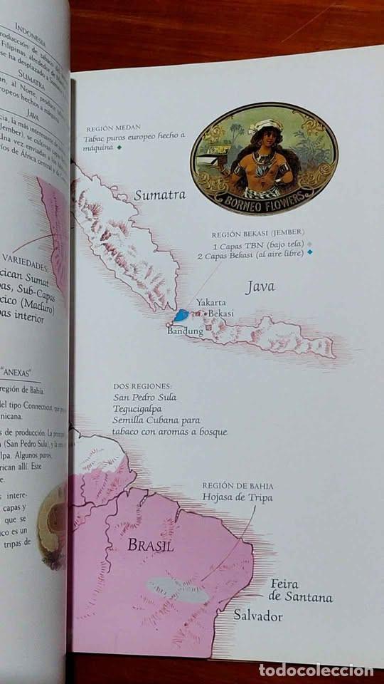 Libros de segunda mano: El Puro, Ed. Konemann - Foto 6