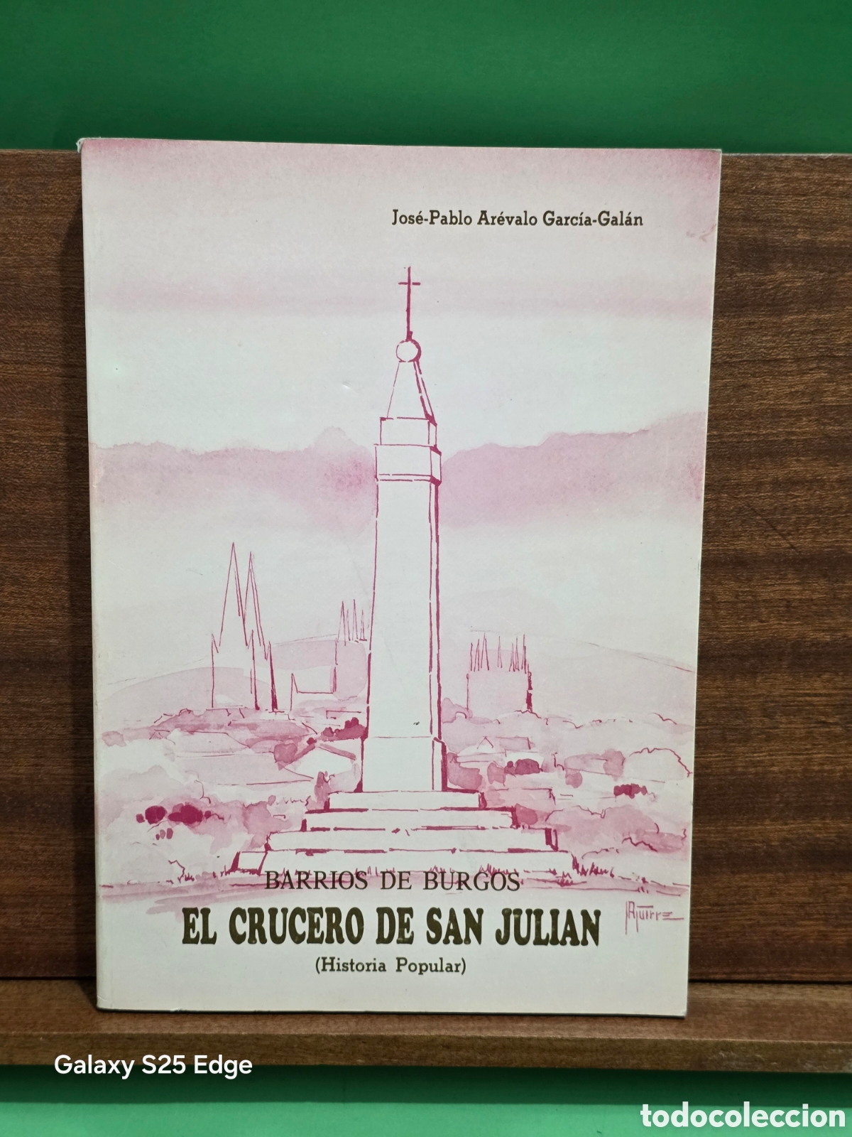 Libros de segunda mano: &rdquo;&rdquo;EL CRUCERO DE SAN JULIAN&rdquo;&rdquo;...(HISTORIA POPULAR)...JOSE-PABLO AR&Eacute;VALO GARC&Iacute;A-GAL&Agrave;N...1993...