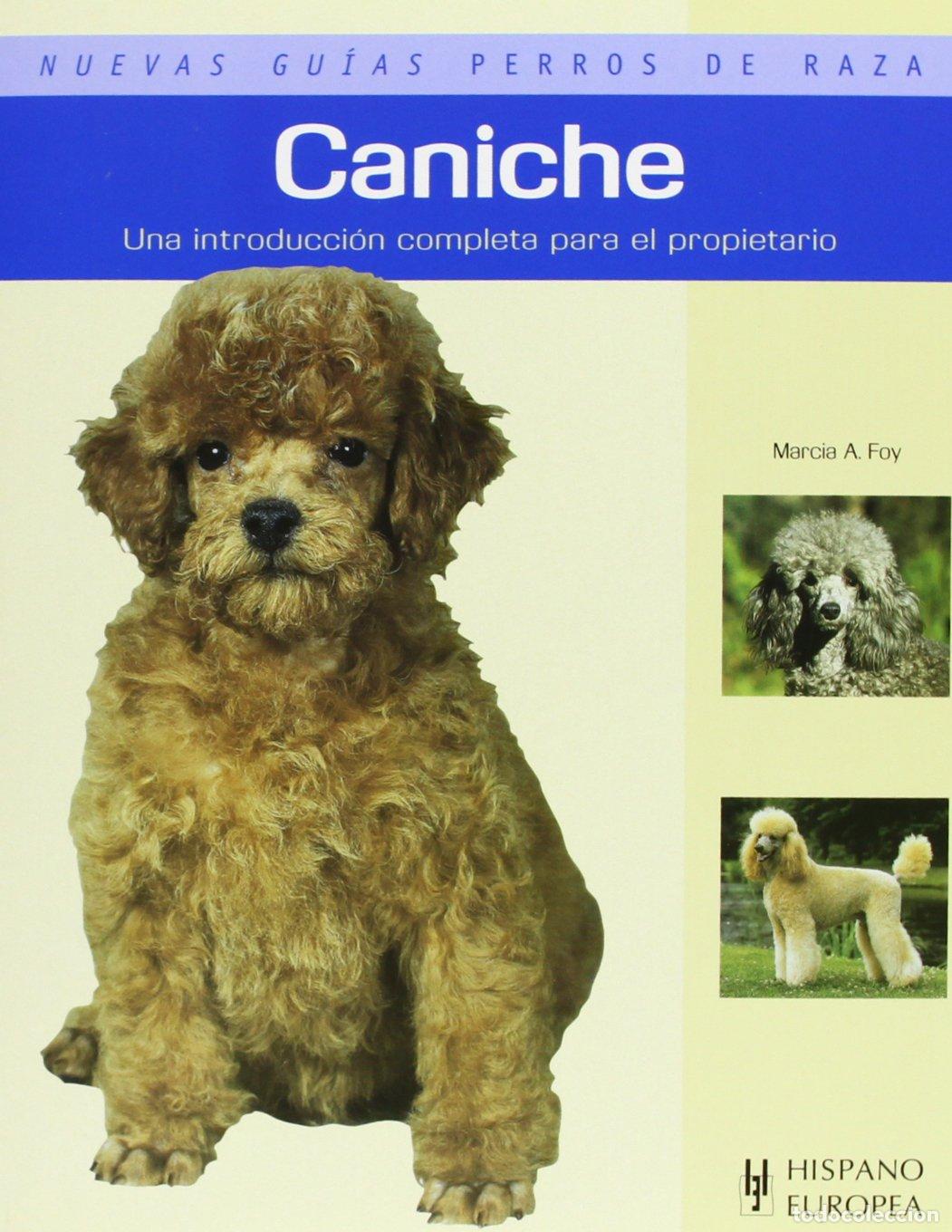 Libros de segunda mano: Caniche (Nuevas gu&iacute;as perros de raza)