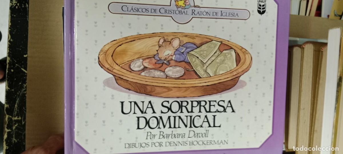 Second hand books: UNA SORPRESA DOMINICAL BARBARA DAVOLL LIBRO GG-AUR