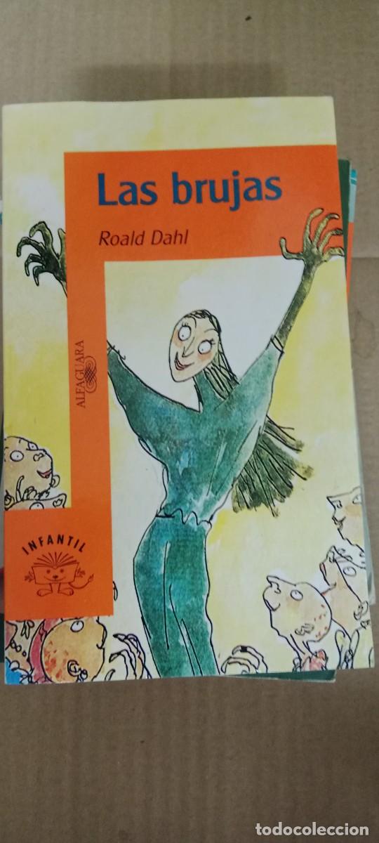 Libros de segunda mano: LAS BRUJAS ROALD DAHL LIBRO GG-AUR - Foto 1