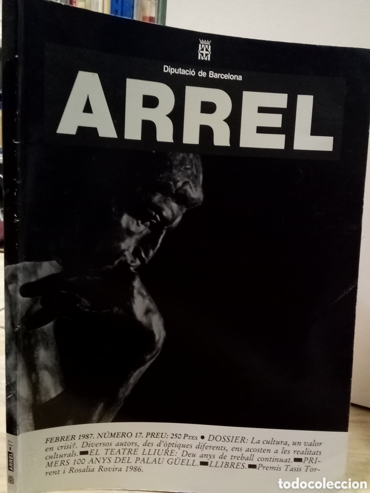 Libros de segunda mano: Arrels N&deg;17. Diputaci&oacute; de Barcelona - Foto 1