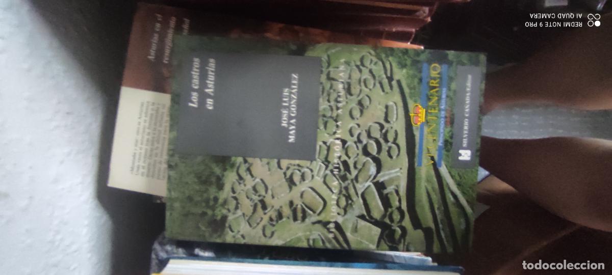 Libros de segunda mano: LOS CASTROS EN ASTURIAS.JOSE LUIS MAYA GONZALEZ,BIBLIOTECA HISTORICA ASTURIANA.SILVERIO CA&Ntilde;ADA 1989.