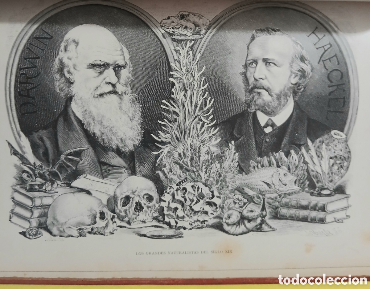 Libros de segunda mano: el centenario, siglo XIX 1789-1889 - Foto 25