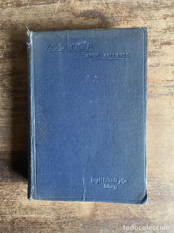 Second hand books: Zoologia - Gallardo Angel
