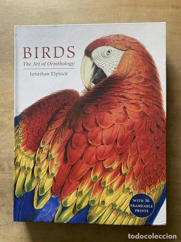 Libros de segunda mano: Birds - Elphick Jonathan - Foto 1