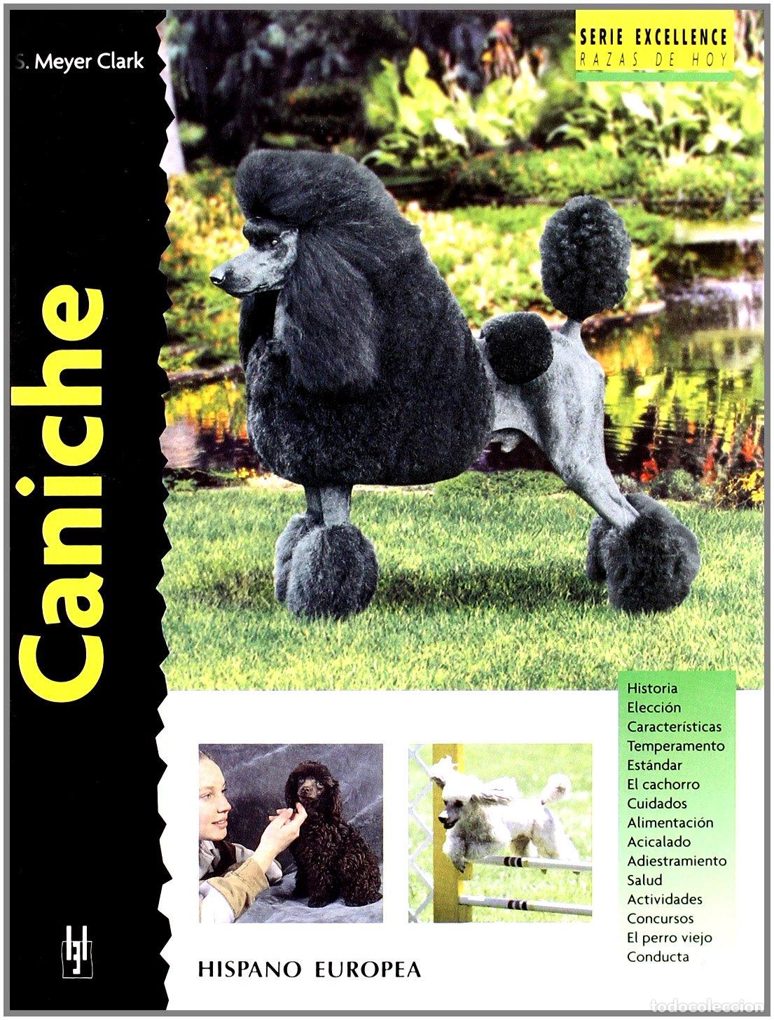 Libros de segunda mano: Caniche (Excellence)