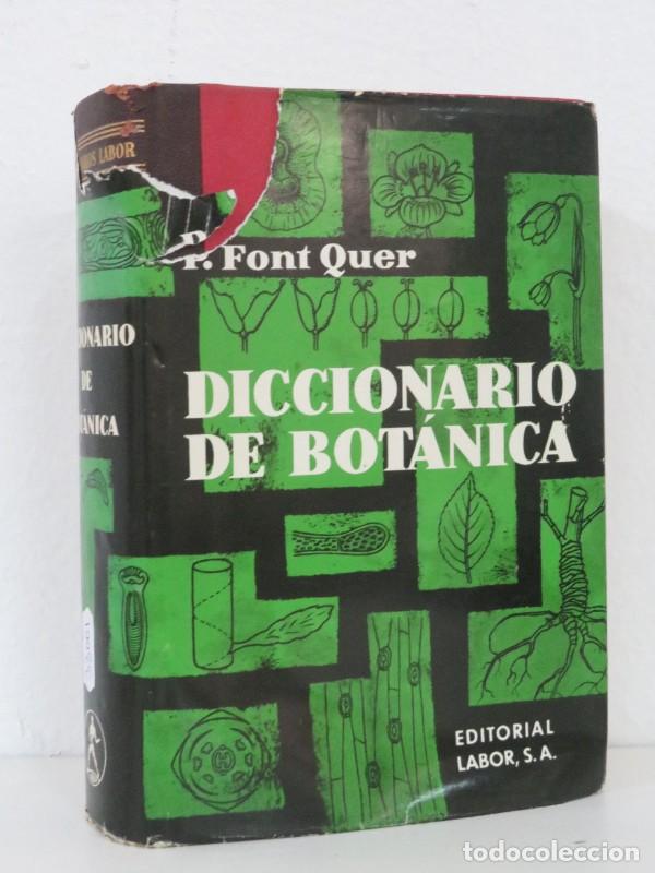 Gebrauchte B&uuml;cher: Diccionario de Bot&aacute;nica - P. Font Quer - Editorial Labor - 1965