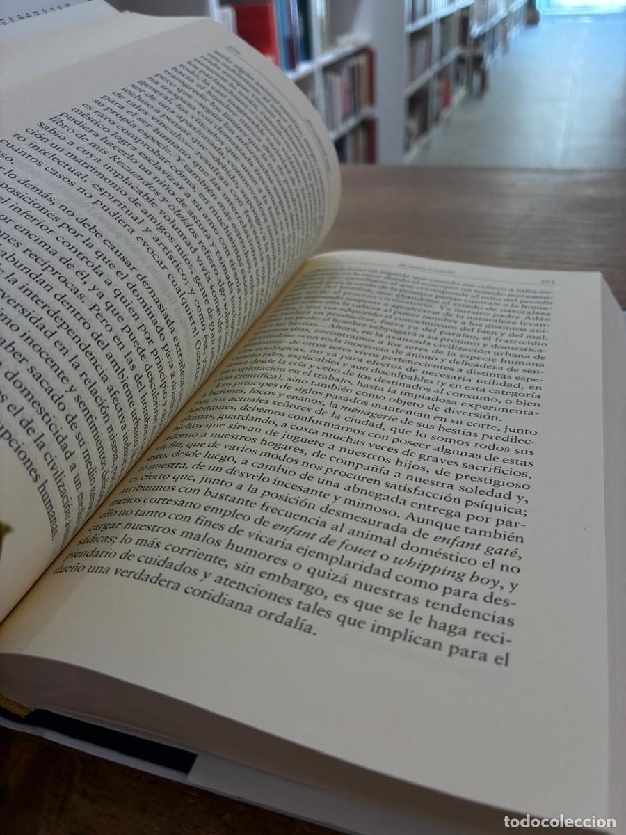 Libros de segunda mano: De vuelta en casa (Francisco Ayala) - Foto 3