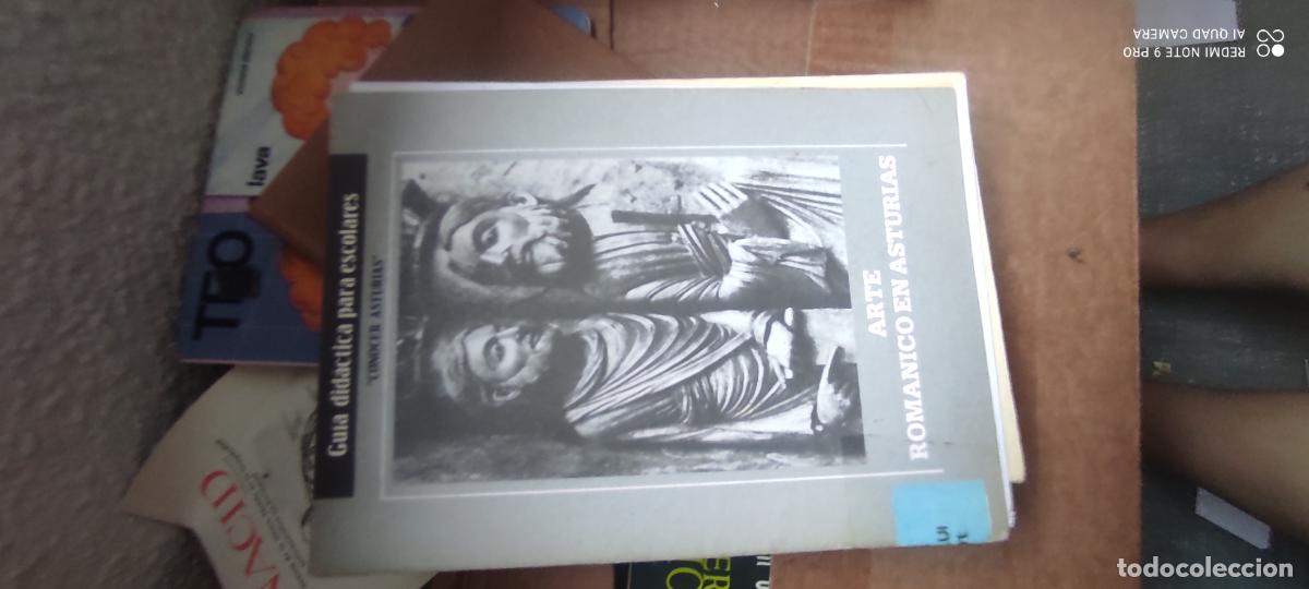 Libros de segunda mano: ARTE ROMANICO EN ASTURIAS. GUIA DIDACTICA PARA ESCOLARES. CONOCER ASTURIAS. A&Ntilde;O 1986. RUSTICA. POR C