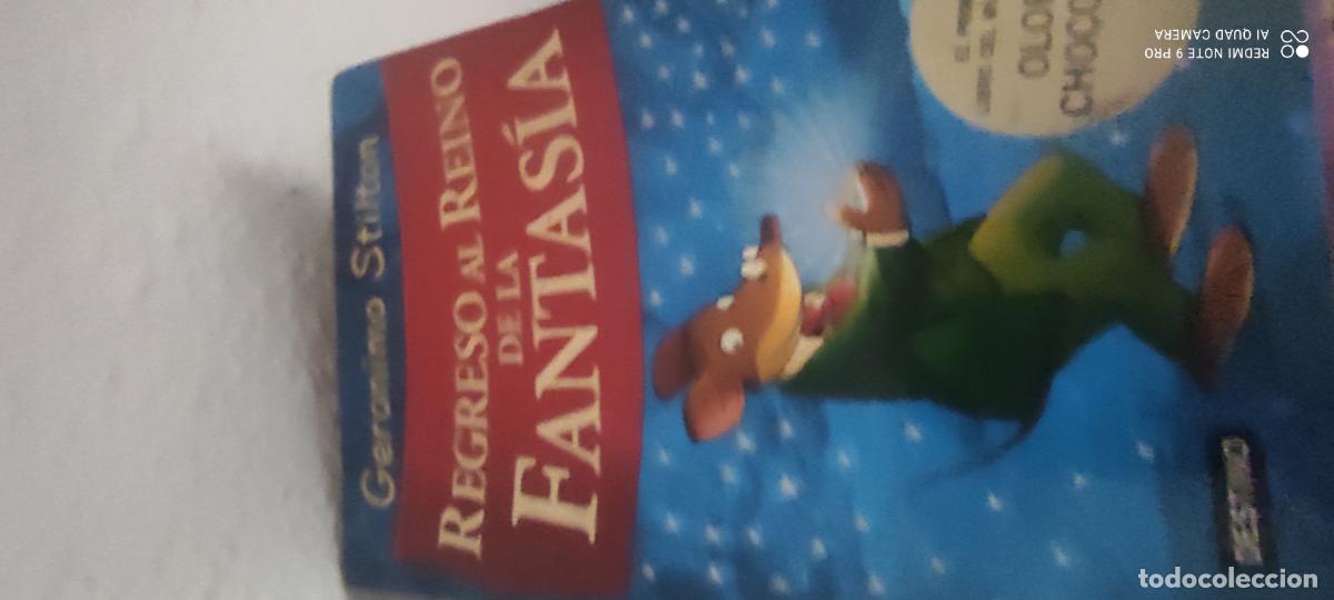 Libros de segunda mano: Geronimo Stilton - Regreso Al Reino De La Fantasia