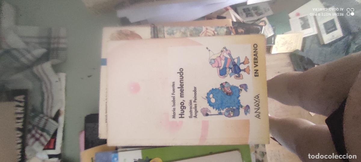 Libros de segunda mano: Hugo melenudo, Maria Isabel Fuentes, Angeles Peinador, Anaya en verano n&ordm; 2